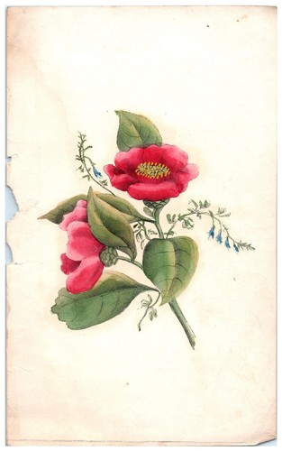 1850's Hand Colored Floral Print Lot of (6) Roses etc. Flowers Victorian B4 - Picture 12 of 13