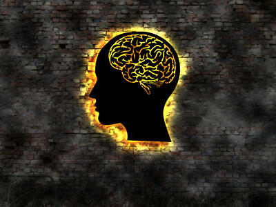 3D   Gehirn Mensch menschliches human brain Skelett Hirn Kopf Büste Menschenkopf
