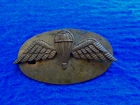 GENUINE WWII ONWARDS PARACHUTE TROPICAL DRESS BRASS QUALIFICATION WINGS + PLATE