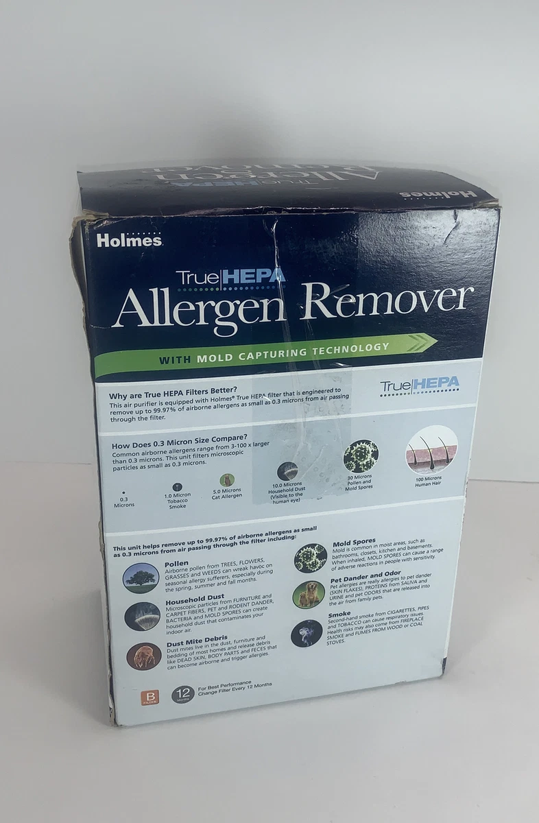 Holmes 2024 b filter