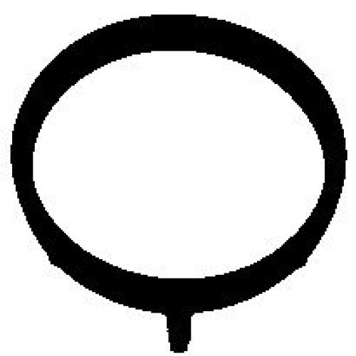 Elring Seal, Coolant Pipe 457.480-image