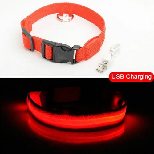 Collar LED de carga USB para perro antipérdida accidentes automovilísticos cachorros suministros de plomo - Imagen 8 de 11
