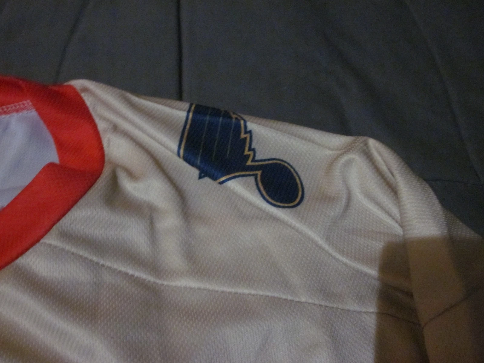 2025-2026 SPRINGFIELD THUNDERBIRDS TEAM SIGNED SGA JERSEY-26 GRAPHS-LUCIC-PECA