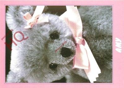 Ansichtskarte__Teddybär, Amy [Dean's]