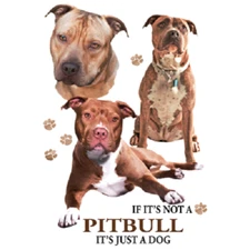 If Its Not a PIT BULL  ITS JUST A DOG Tshirt    Sizes/Colors
