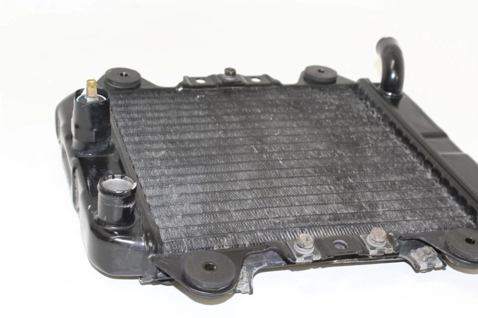 Kawasaki Ninja 250R Ex250F 2006 radiador motor enfriador radiador de refrigeración Foto 3 de 4