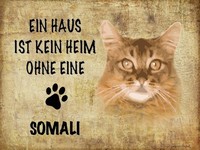 Holzschild 30X40 Cm Somali Katze Ohne Kein Heim Deko Geschenk Holz Schild