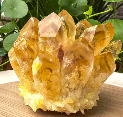 Natural Citrine Cluster Quartz Carved Crystal Sculpture Reiki Healing Stone Gift