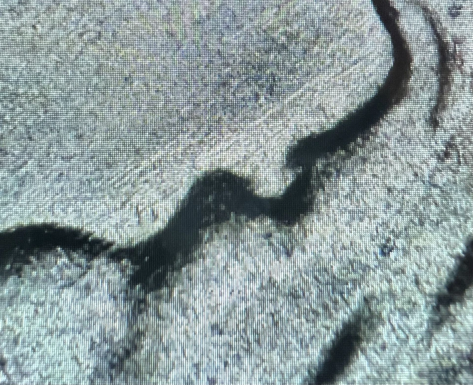 1953 S BU 10C Silver Roosevelt Dime "Bugs Bunny" FS-401 -  “Minor Clash” - Image 3 of 4