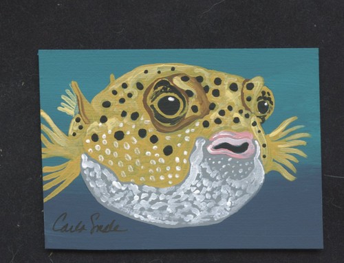 ACEO ATC Original Painting Puffer Fish Marine Wildlife Portrait Art-C. Smale - Picture 2 of 2
