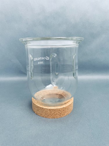 Chemglass Morton Reaction Vessel 2 L Cylindrical