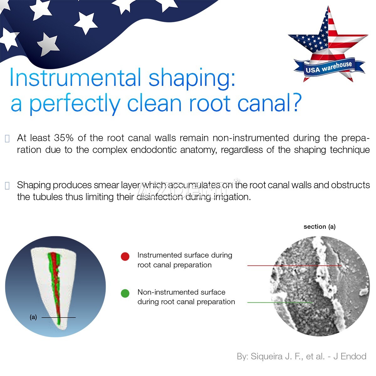 Dental Endo Ultra Activator Ultrasonic Endo Irrigator Root Canal Handpiece Tips