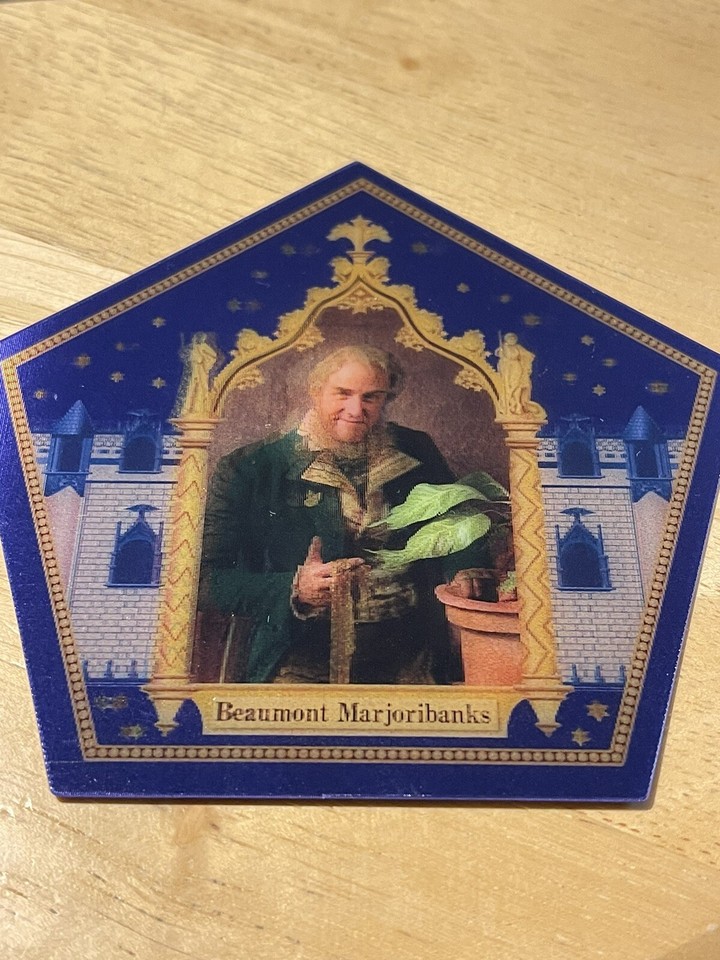 harry potter chocolate frog cards 20 Card Set Includes New Beatrix