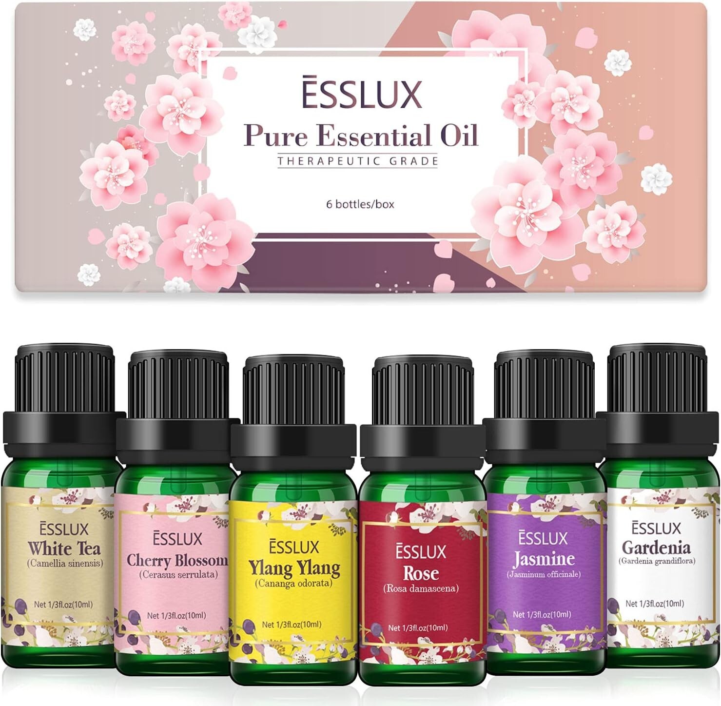 Pure Floral Essential Oil Set - Ideal for Diffusers, Massage & Scented Candles thumbnail 3