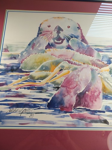 Stampa acquerello con cornice di Richard Pettit 1989 lontra marina - Foto 3 di 13