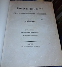 ATLANTE DI ANATOMIA COMPARATA.  Icones Histiologicae .  1864 