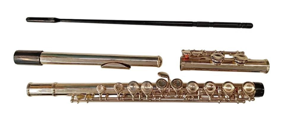 Flauto Traverso Comet Student Custodia Inclusa Usato da Revisionare Nickelato - Immagine 2 di 4