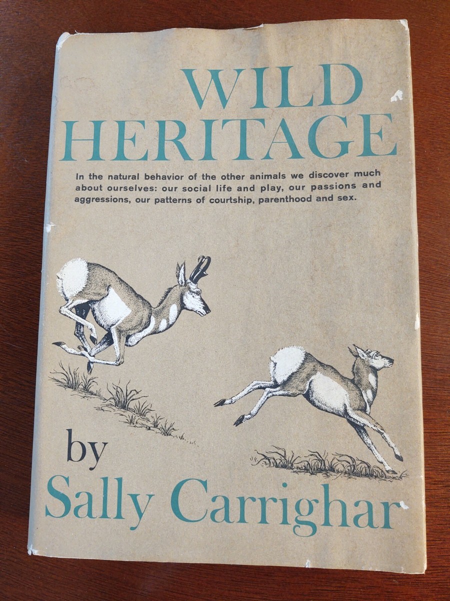 Charlie Watts (VERY RARE!!サイン入り絵本送料込み!!） Charlie Watts Autograph | eBay