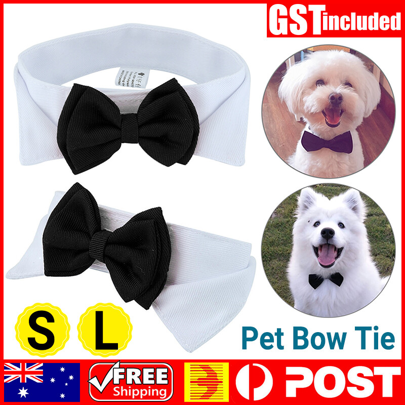 dog neck tie collar