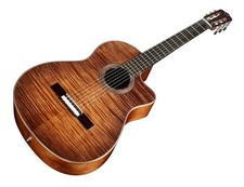 Cordoba Fusion 12 Exotic Top Nylon String Guitar Cinnamon Burst Ebony