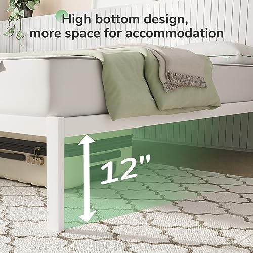 Novilla Queen Bed Frame, Metal Platform Bed Frame, Wood Slat Support - White
