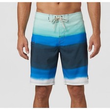 Burnside Mens 30 Board Shorts Blue