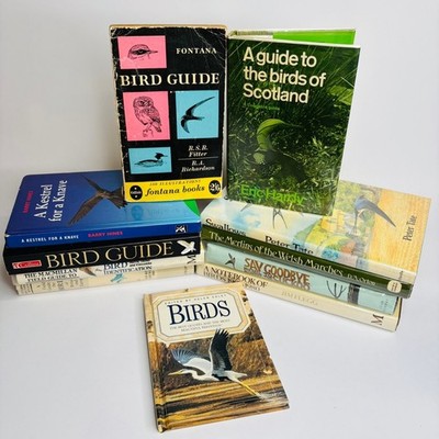 Bundle of 11 Various Bird Books - Field Guides, Swallows, Merlins, Kestrel etc