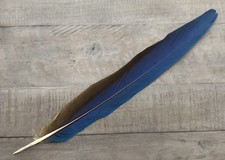 Blue And Gold Macaw feather tail  14” Peyote Craft Fishing