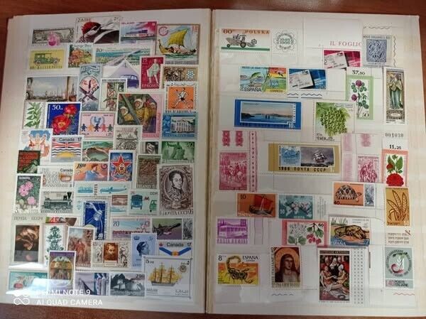 Foto 3 di 5