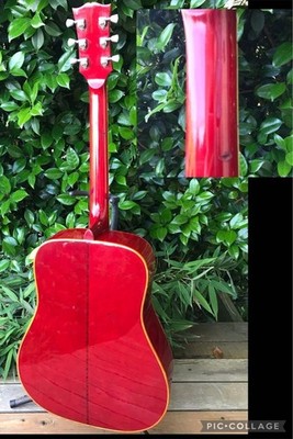 Aria WD-35CH アリア ダヴ チェリー Aria Wd-35Ch Dove Cherry USED F/S | eBay