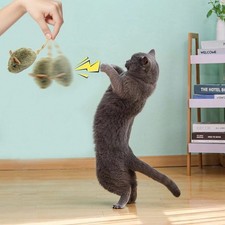 Cat Toys for indoor Cats, Interactive Cat Toy with Real Squeaky Mouse Elec