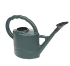 Watering Can 2 Litre - Ward Woodstock Garden Indoor/Outdoor - Quick Delivery