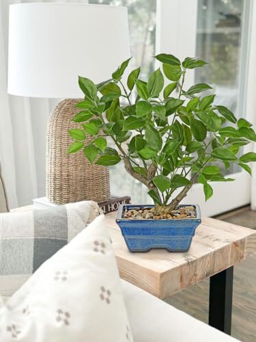 Fake Plants Small Artificial Plants 15" Artificial Bonsai Tree Faux Plants In... - Picture 3 of 6
