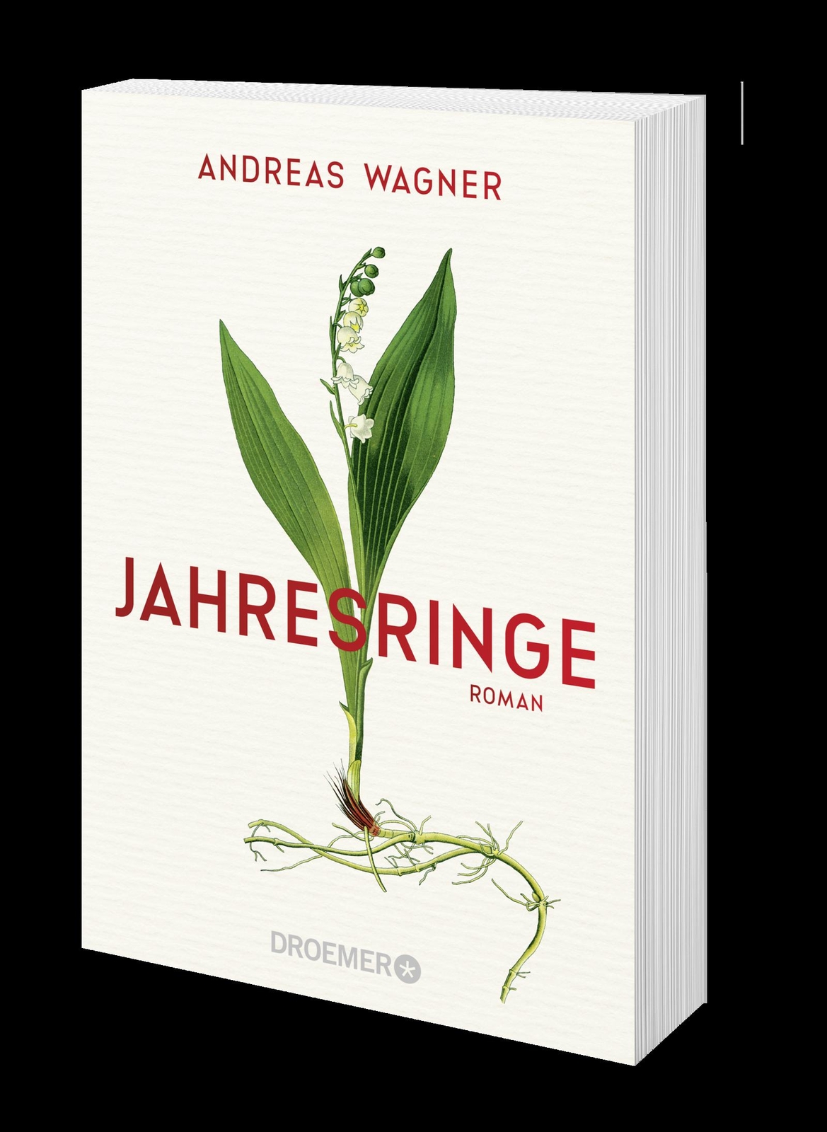 Thumbnail - Jahresringe, Andreas Wagner