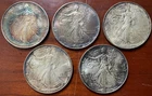 Lot of 5 1993 American Silver Eagles