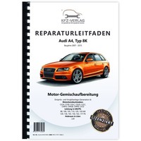 Audi A4 8K (07-15) Diesel Einspritz- VorglüHanlage 120-177 PS Werkstatthandbuch