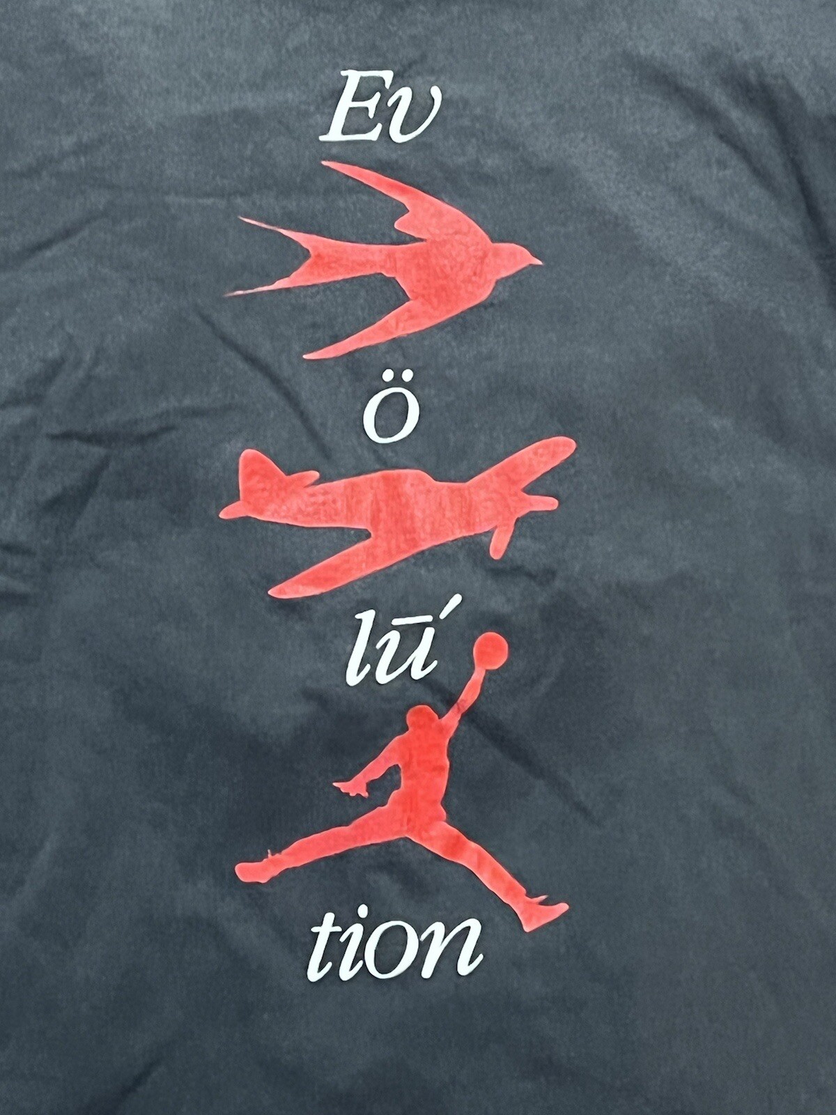 Vintage Nike Michael Air Jordan Evolution Long Sleeve T Shirt Medium Rare image 2