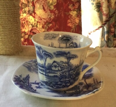 Vintage Palissy ''Lakeland'' Pattern Cup And Saucer England
