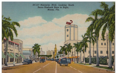 Miami FL Biscayne Bay Street View Sears Vtg Cars Florida Linen Postcard