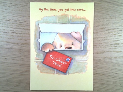 Advocate Art Licensing Get Well Greeting Card Dog Mailbox Toby Tumbles USA