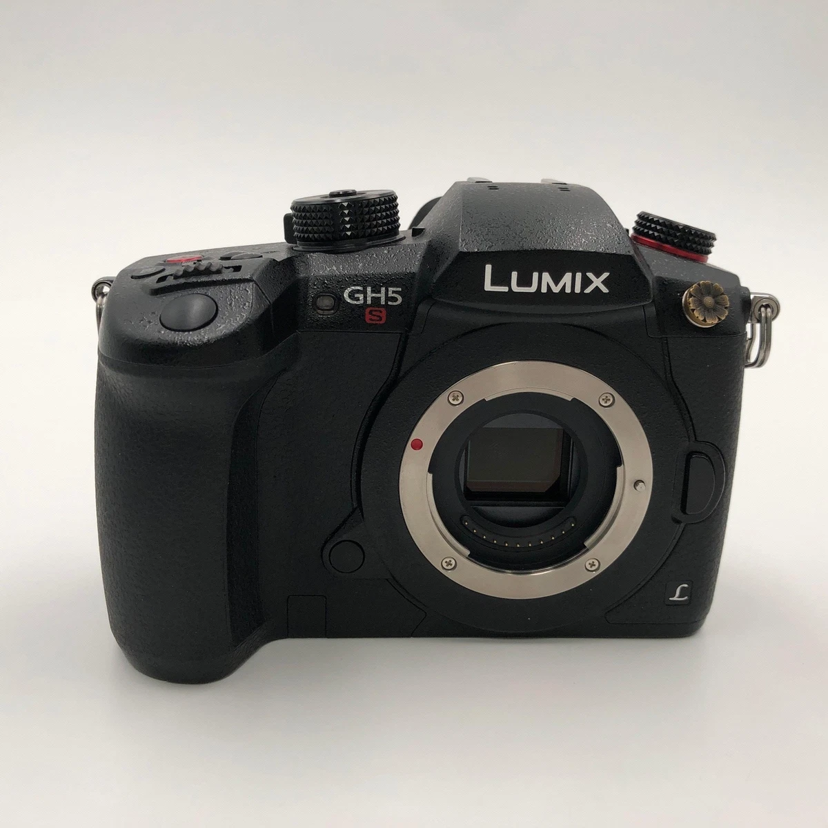 Panasonic LUMIX GH5s Panasonic LUMIX Digital Cameras for sale - eBay