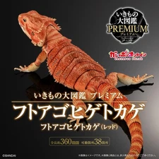 The Diversity of Life on Earth Premium Central Bearded Dragon Figure Bandai