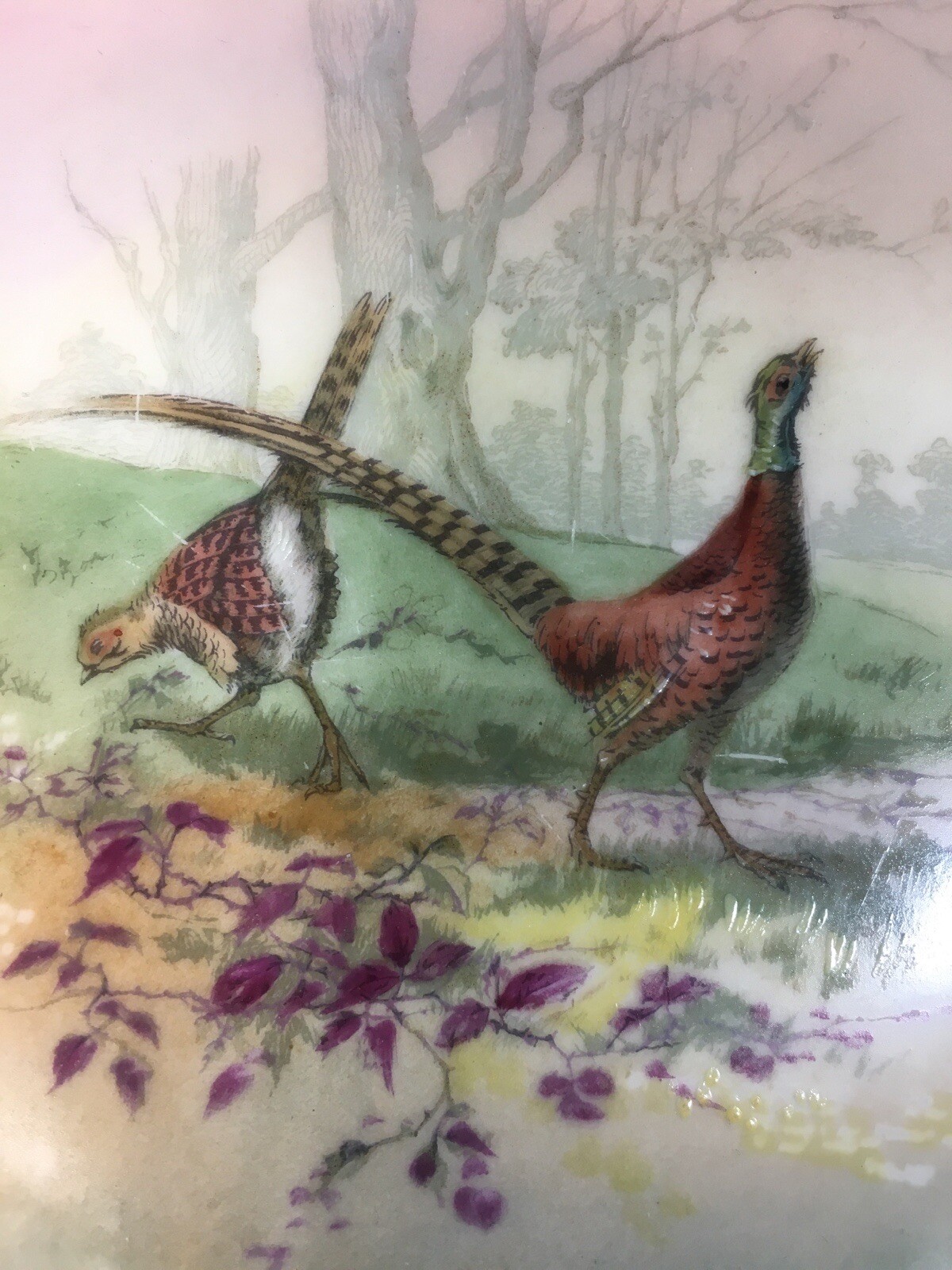 Picture 3 of 9