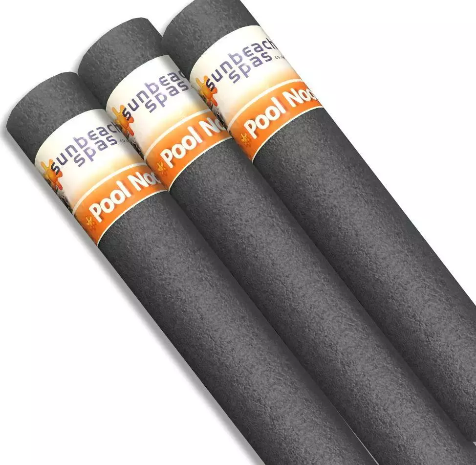 Black swim sale noodles