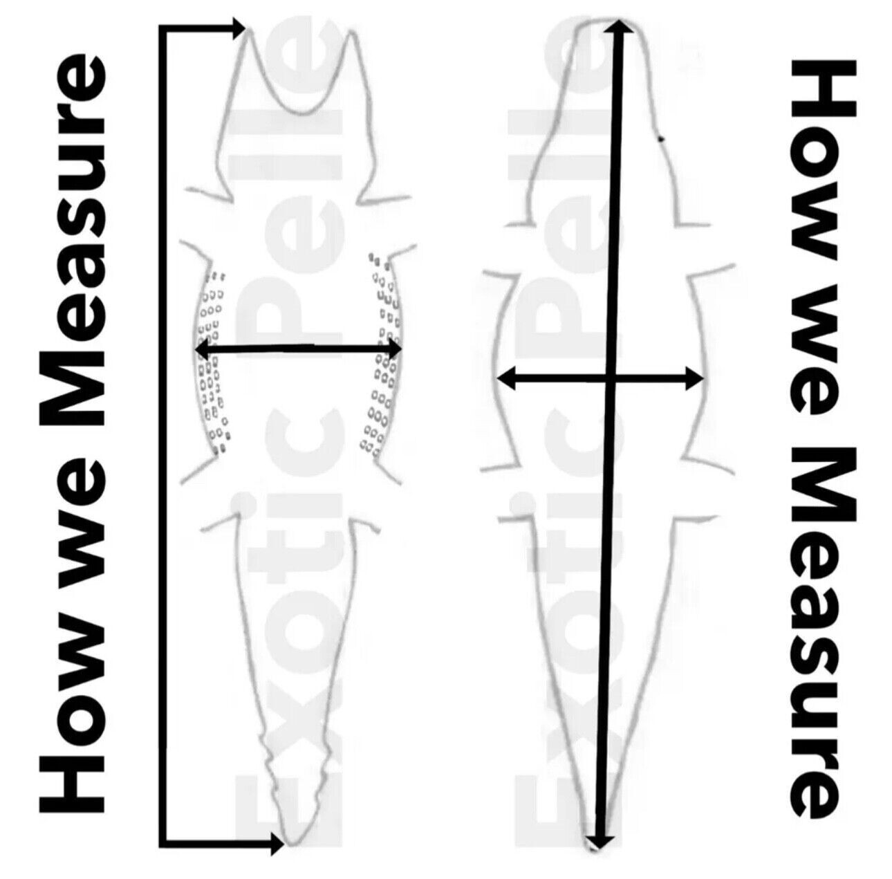 Black Genuine Belly Nile Crocodile Hide Leather Skin Gator Croc Scrap 3764