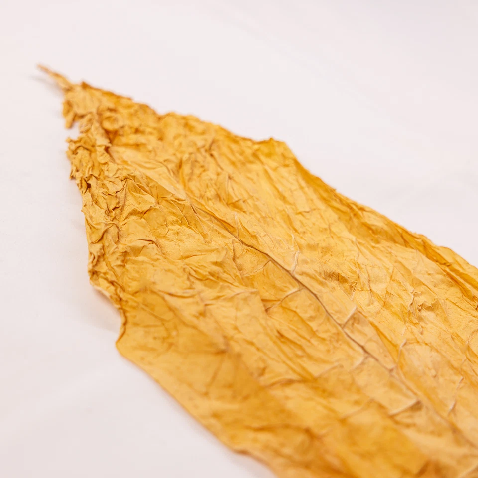 Virginia-Gold-Tabakblätter-Rohtabak der Klasse II - Bild 4 von 4