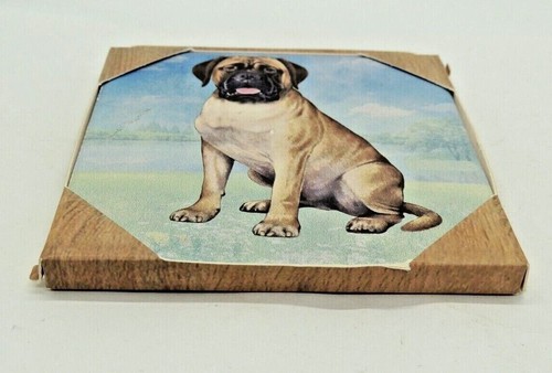 Bullmastiff Coaster Sottobicchiere più assorbente del mondo pietra sughero posteriore E&S animali domestici NUOVO - Foto 3 di 9
