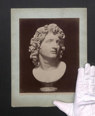 Fotografie Alinari, Ansicht Rom, Testa di Alessandro Magno, Museo Capitolino 
