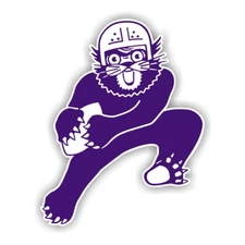 Northwestern Wildcats Vinyl Sticker/Decal 08