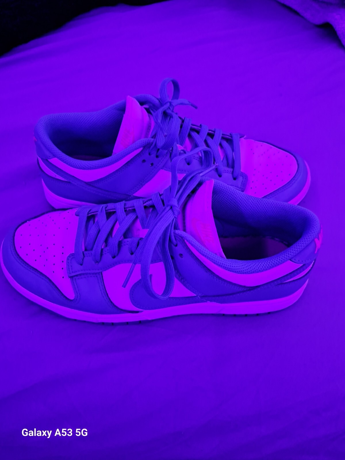 Nike Dunks - image 1